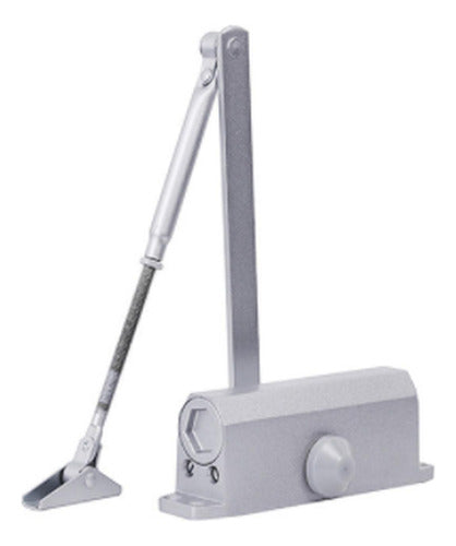 Cierre Automatico Puerta Brazo Hidraulico 25 A 45 Kg Norplat Plateado