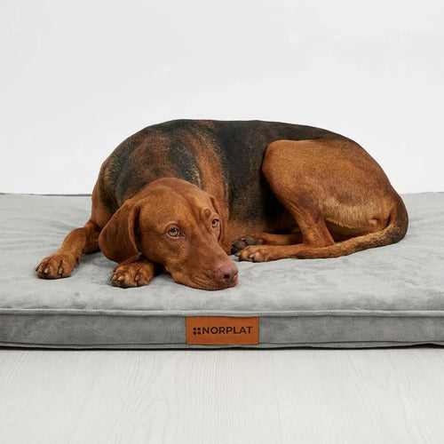 Cama Colchon Ortopedico Norplat 90cm Xxl - Perro Antiestres  Gris Claro Ortopédico