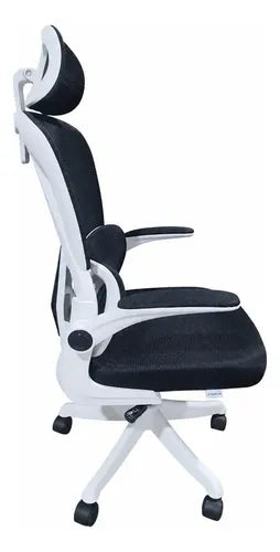 Silla Oficina Escritorio Ergonomica Norplat Lumbar Ultraflex