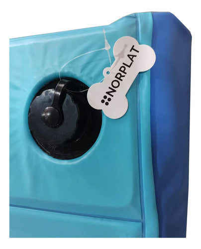 Piscina Para Perros Plegable Verano Mascotas 160x30 Norplat