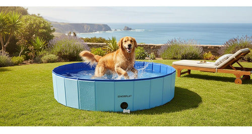 Piscina Para Perros Plegable Verano Mascotas 160x30 Norplat