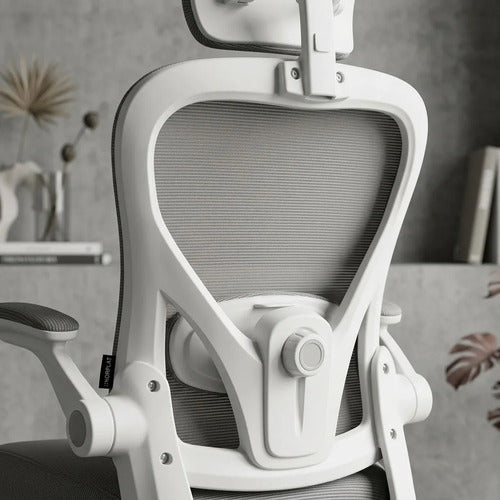 Silla Oficina Escritorio Ergonomica Norplat Lumbar Pro 4d