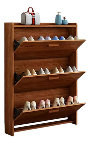 Zapatero Recibidor Mueble Para Zapatos Organizador - Norplat Marrón