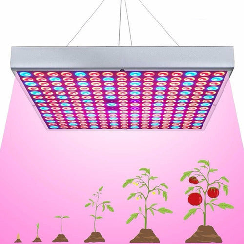 Foco Led Indoor Luz Para Crecimiento Plantas Cultivo Norplat Cultivo Plateado