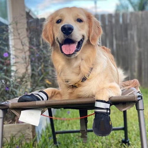  Zapato Zapatilla Camping Perro Antideslizantes Impermeable  3 - Negro