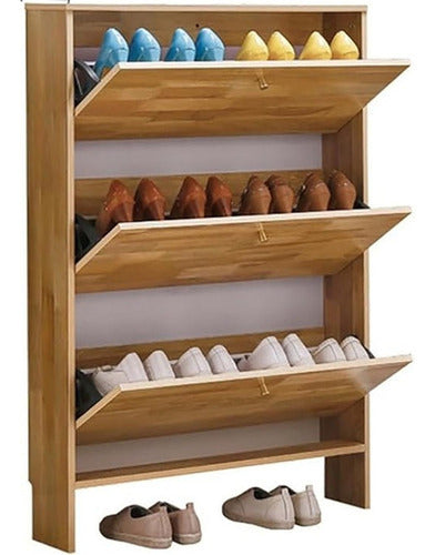 Zapatero Recibidor Mueble Para Zapatos Organizador - Norplat Marrón