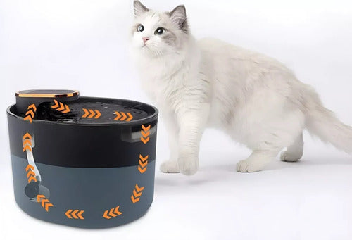 Fuente Agua Bebedero Perro Gato Mascota Luz Filtro - Norplat Negro