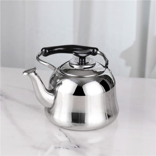 Tetera Infusor Acero Inoxidable Filtro Silvadora 1l Norplat Plateada