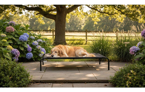 Cama Elevada Para Perros Grandes Lavable Talla Xl - Norplat Negro Elevado