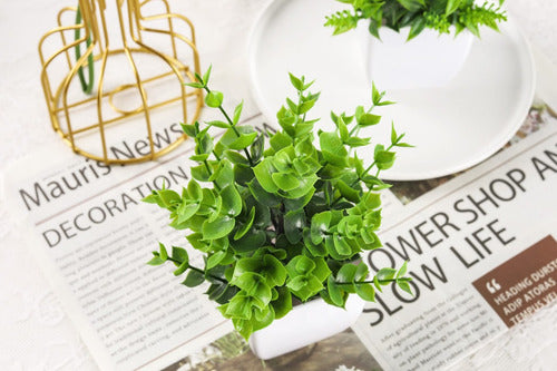 Norplat 4 Plantas Artificiales Decorativas Hogar Macetas Blanco