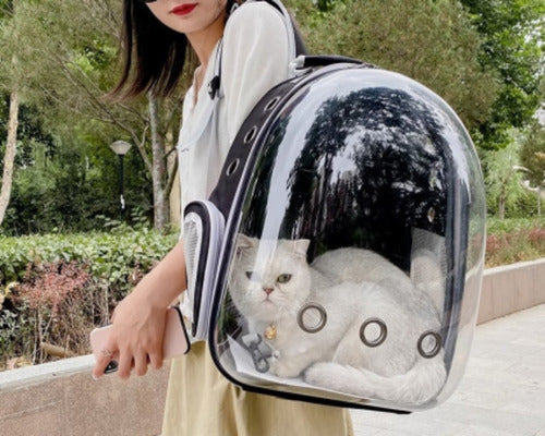 Mochila Bolso Transportes Transparente Mascotas Perros Gatos Negro