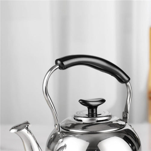 Tetera Infusor Acero Inoxidable Filtro Silvadora 1l Norplat Plateada