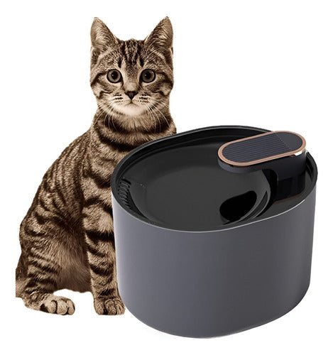 Fuente Agua Bebedero Perro Gato Mascota Luz Filtro - Norplat Negro