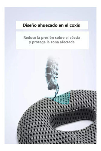 Cojin Antiescaras Picaron Ortopedico Lavable Funda - Norplat Negro