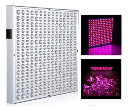 Foco Led Indoor Luz Para Crecimiento Plantas Cultivo Norplat Cultivo Plateado