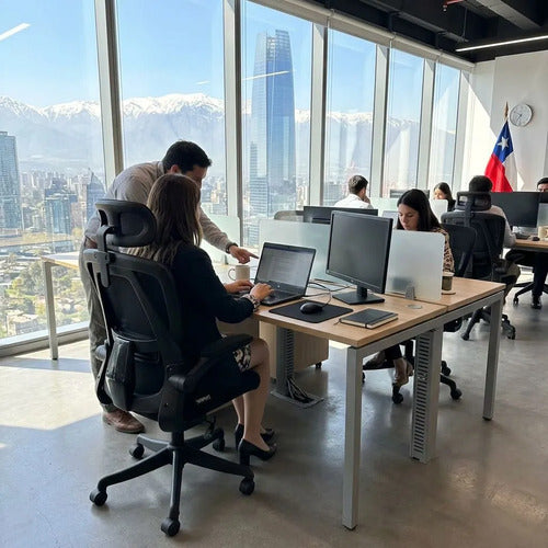 Silla Oficina Escritorio Ergonomica Norplat Lumbar Ultraflex