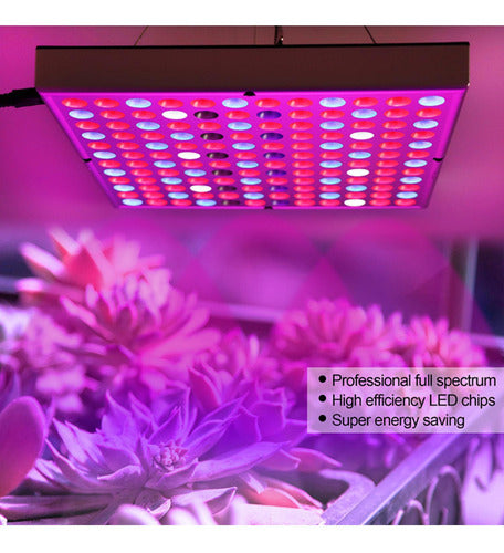 Foco Led Indoor Luz Para Crecimiento Plantas Cultivo Norplat Cultivo Plateado