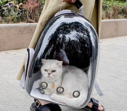 Mochila Bolso Transportes Transparente Mascotas Perros Gatos Negro