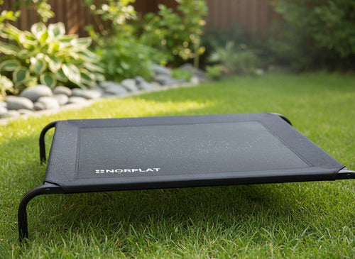 Cama Elevada Altura Para Mascota Perro Gato Talla M Norplat Negro Elevado