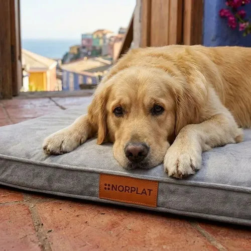 Cama Colchon Ortopedico Norplat 110cm Xxl Perro Antiestres  Gris Claro Ortopédico