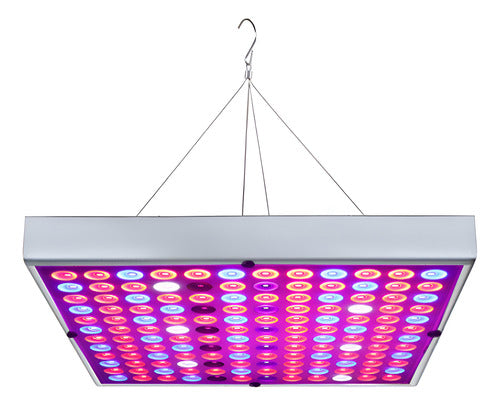Foco Led Indoor Luz Para Crecimiento Plantas Cultivo Norplat Cultivo Plateado