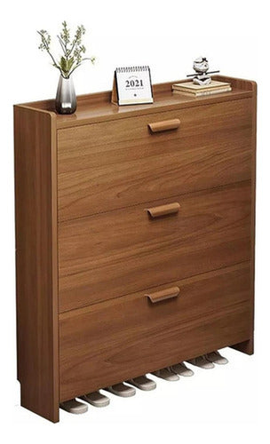 Zapatero Recibidor Mueble Para Zapatos Organizador - Norplat Marrón