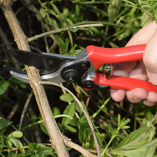 Tijeras Para Podar Aluminio 20cm Mango Pp Tijeron - Norplat Rojo